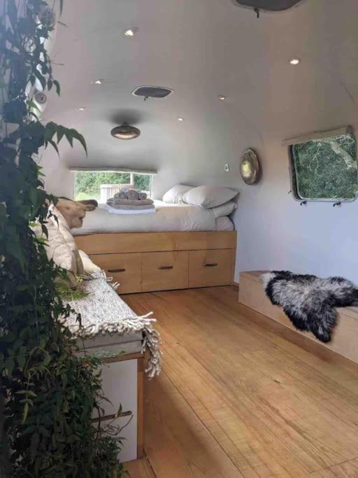 Airstream, Vintage American Caravan & Hottub Ashburton Zewnętrze zdjęcie